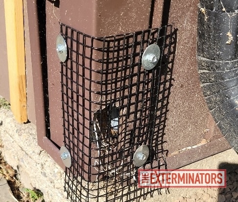 foundation gap sealed